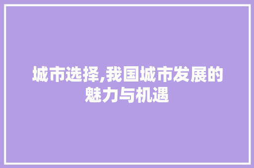 城市选择,我国城市发展的魅力与机遇 网站建设