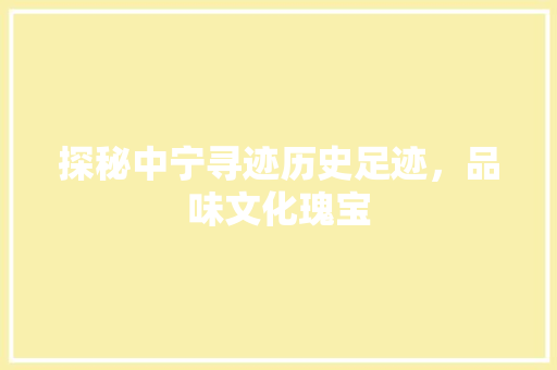 探秘中宁寻迹历史足迹，品味文化瑰宝