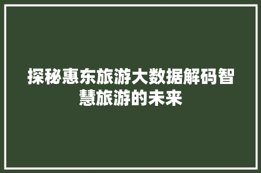 探秘惠东旅游大数据解码智慧旅游的未来