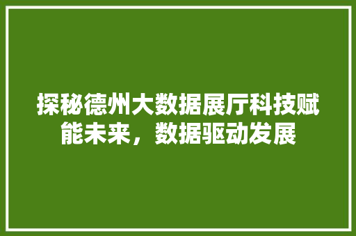 探秘德州大数据展厅科技赋能未来，数据驱动发展