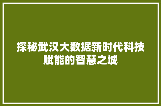 探秘武汉大数据新时代科技赋能的智慧之城