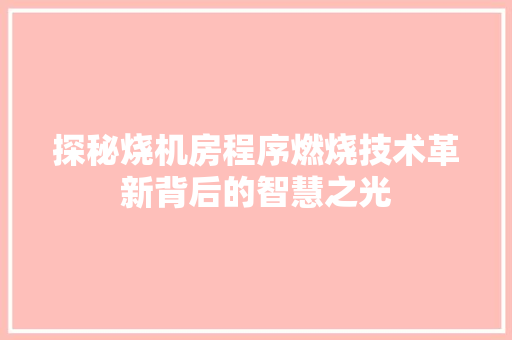 探秘烧机房程序燃烧技术革新背后的智慧之光