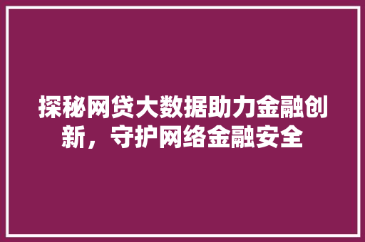 探秘网贷大数据助力金融创新，守护网络金融安全