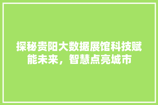 探秘贵阳大数据展馆科技赋能未来，智慧点亮城市