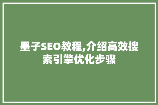 墨子SEO教程,介绍高效搜索引擎优化步骤