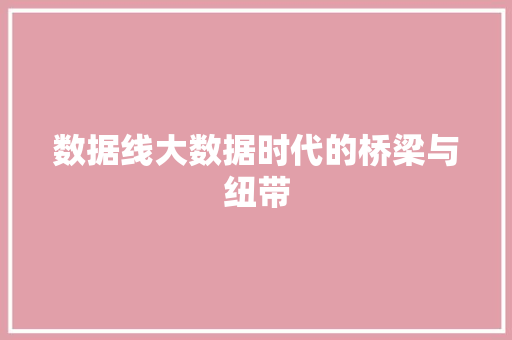 数据线大数据时代的桥梁与纽带