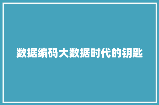 数据编码大数据时代的钥匙