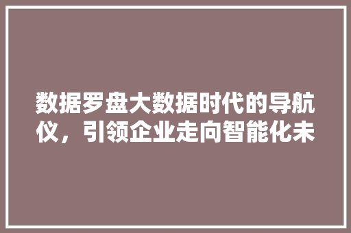 数据罗盘大数据时代的导航仪，引领企业走向智能化未来
