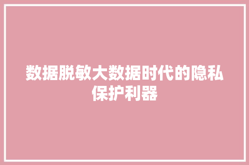 数据脱敏大数据时代的隐私保护利器