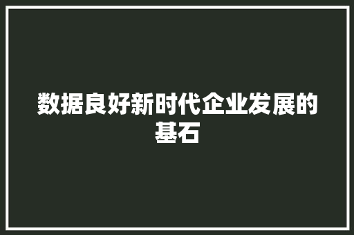 数据良好新时代企业发展的基石