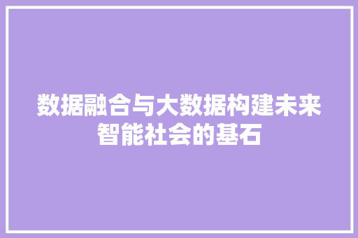 数据融合与大数据构建未来智能社会的基石