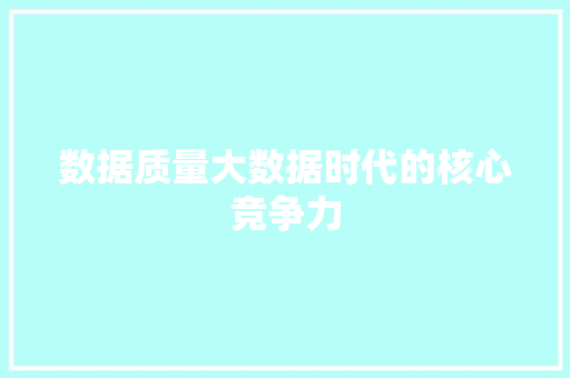数据质量大数据时代的核心竞争力