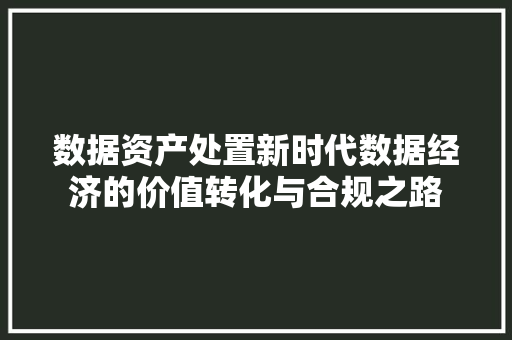 数据资产处置新时代数据经济的价值转化与合规之路
