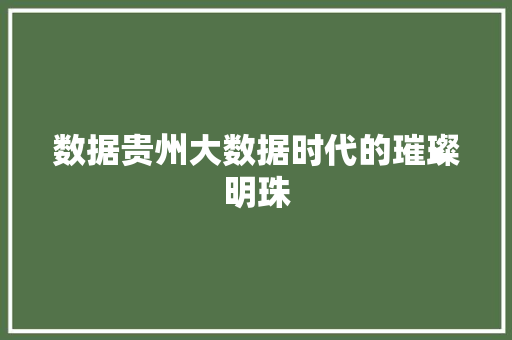 数据贵州大数据时代的璀璨明珠
