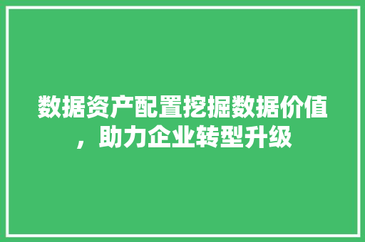 数据资产配置挖掘数据价值，助力企业转型升级