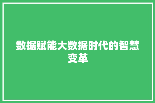 数据赋能大数据时代的智慧变革