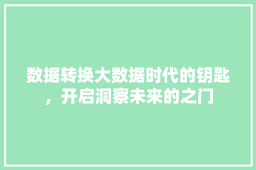 数据转换大数据时代的钥匙，开启洞察未来的之门