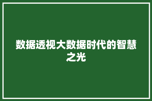 数据透视大数据时代的智慧之光