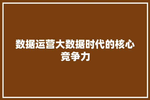 数据运营大数据时代的核心竞争力