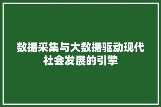 数据采集与大数据驱动现代社会发展的引擎
