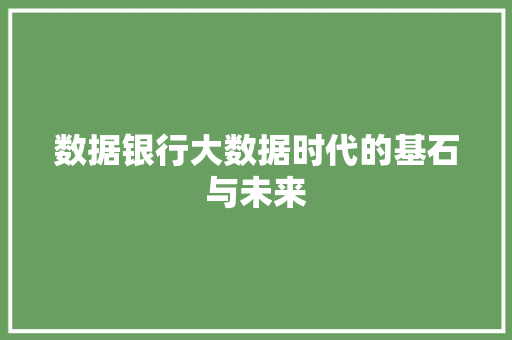 数据银行大数据时代的基石与未来