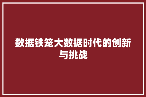 数据铁笼大数据时代的创新与挑战