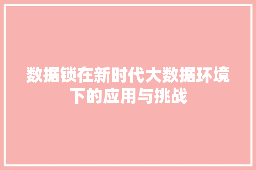 数据锁在新时代大数据环境下的应用与挑战