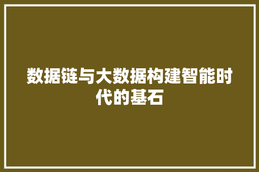 数据链与大数据构建智能时代的基石