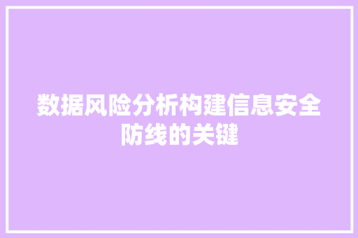 数据风险分析构建信息安全防线的关键