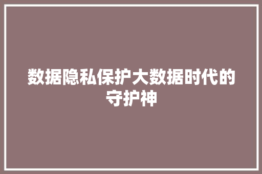 数据隐私保护大数据时代的守护神