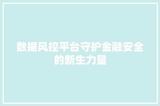 数据风控平台守护金融安全的新生力量
