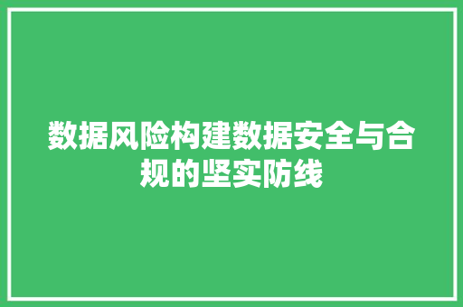数据风险构建数据安全与合规的坚实防线