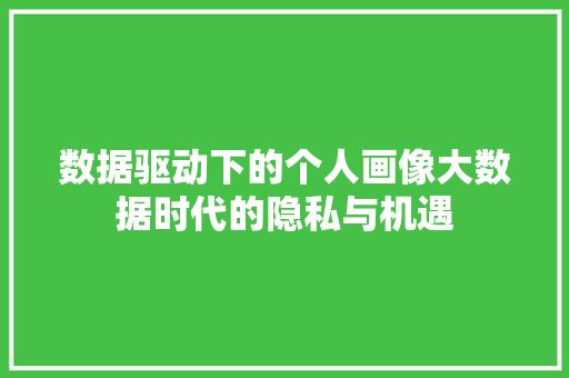 数据驱动下的个人画像大数据时代的隐私与机遇