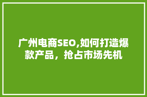 广州电商SEO,如何打造爆款产品，抢占市场先机 项目报告