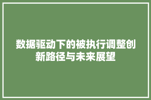 数据驱动下的被执行调整创新路径与未来展望