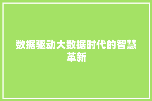 数据驱动大数据时代的智慧革新