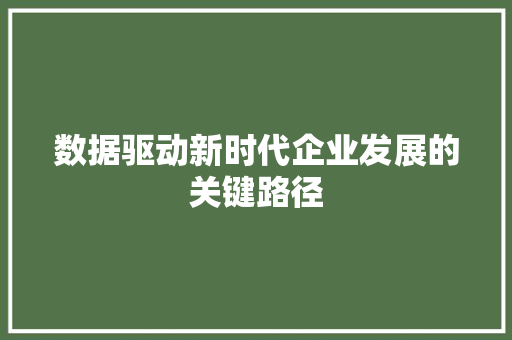 数据驱动新时代企业发展的关键路径