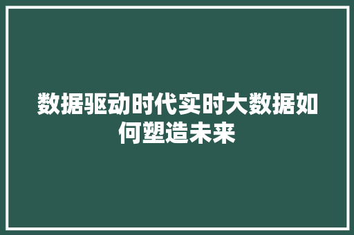数据驱动时代实时大数据如何塑造未来