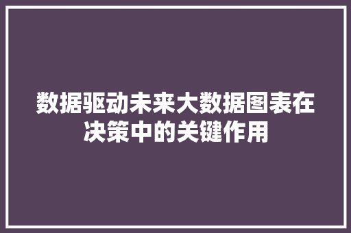数据驱动未来大数据图表在决策中的关键作用