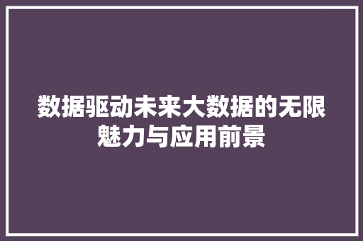 数据驱动未来大数据的无限魅力与应用前景