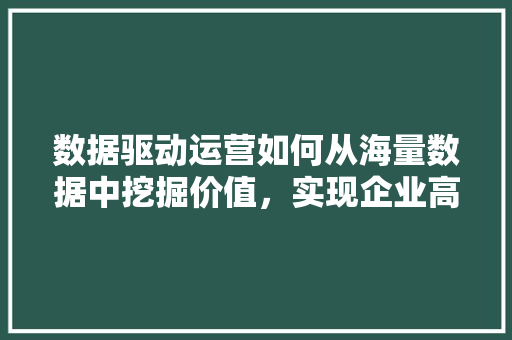 数据驱动运营如何从海量数据中挖掘价值，实现企业高效增长