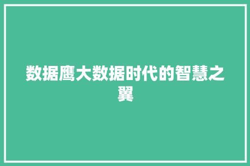 数据鹰大数据时代的智慧之翼