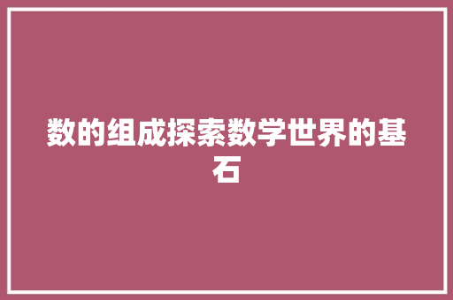 数的组成探索数学世界的基石