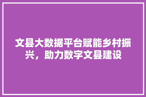 文县大数据平台赋能乡村振兴，助力数字文县建设