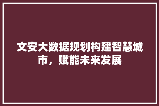 文安大数据规划构建智慧城市，赋能未来发展