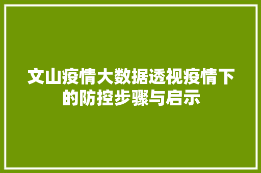 文山疫情大数据透视疫情下的防控步骤与启示