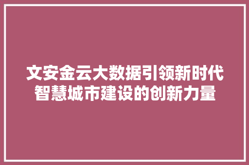 文安金云大数据引领新时代智慧城市建设的创新力量