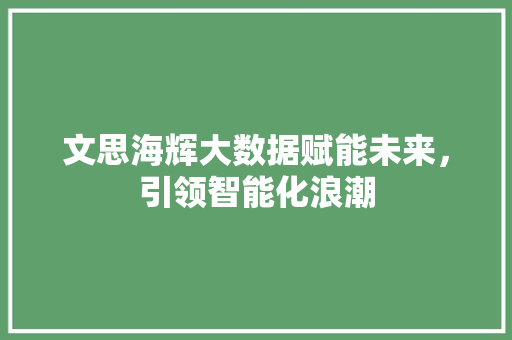 文思海辉大数据赋能未来，引领智能化浪潮