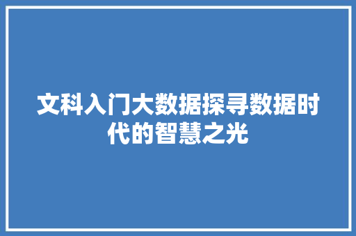 文科入门大数据探寻数据时代的智慧之光
