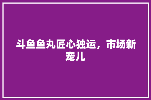 斗鱼鱼丸匠心独运，市场新宠儿